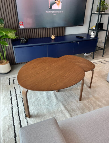 Sanders Nesting Coffee Table photo review